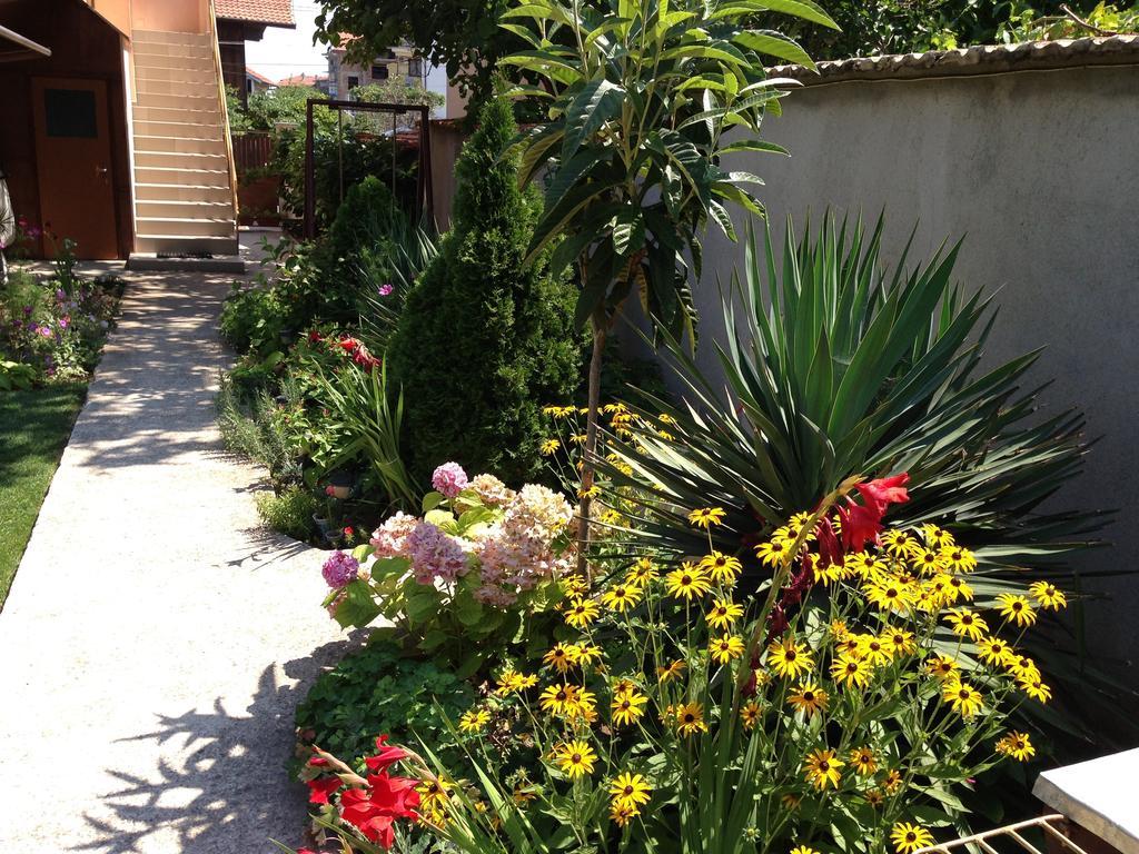 Chervenkov Guest House เชอร์โนโมเรทส์ ภายนอก รูปภาพ