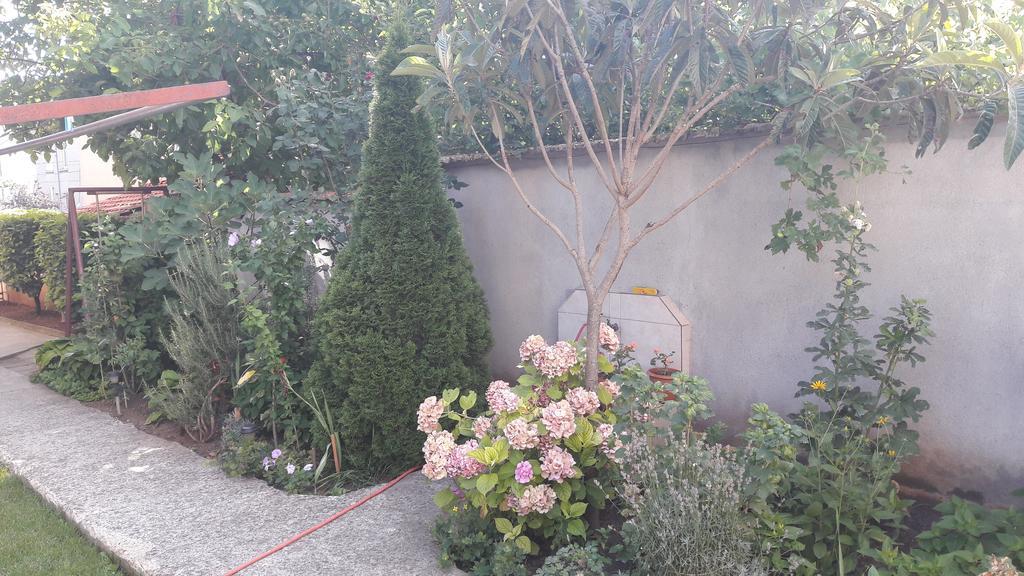 Chervenkov Guest House เชอร์โนโมเรทส์ ภายนอก รูปภาพ
