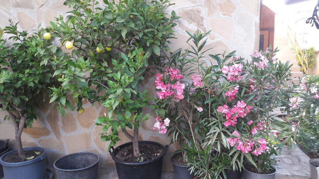 Chervenkov Guest House เชอร์โนโมเรทส์ ภายนอก รูปภาพ